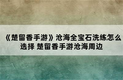 《楚留香手游》沧海全宝石洗练怎么选择 楚留香手游沧海周边